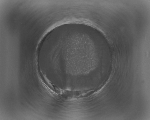 X0000073851506200609071553