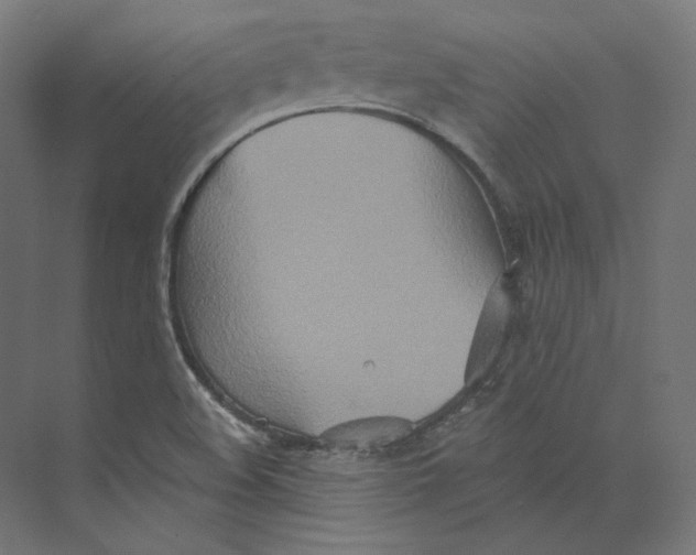 X0000073851508200609071553