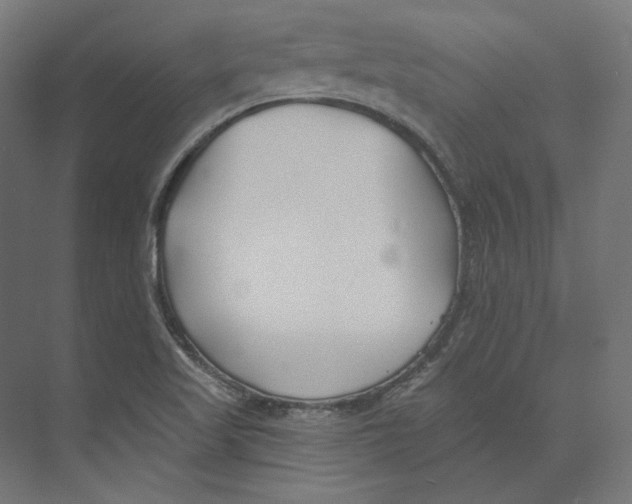 X0000073851509200609071553