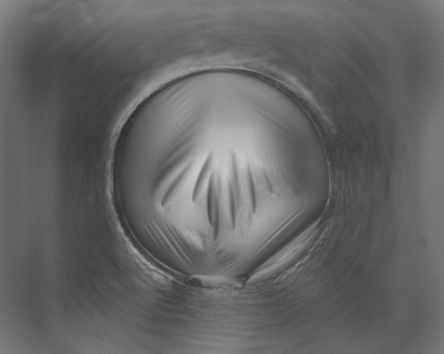 X0000073851512200609071553