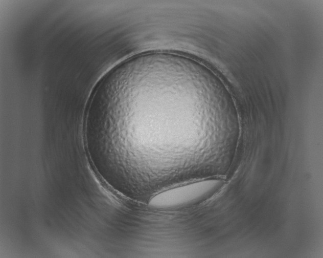 X0000073851513200609071553