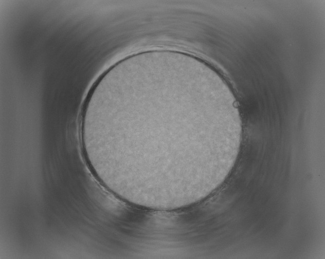 X0000073851514200609071553