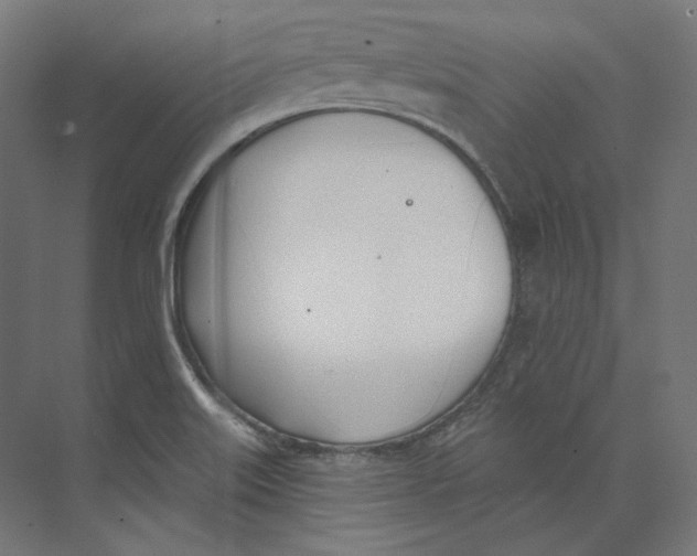 X0000073851515200609071553