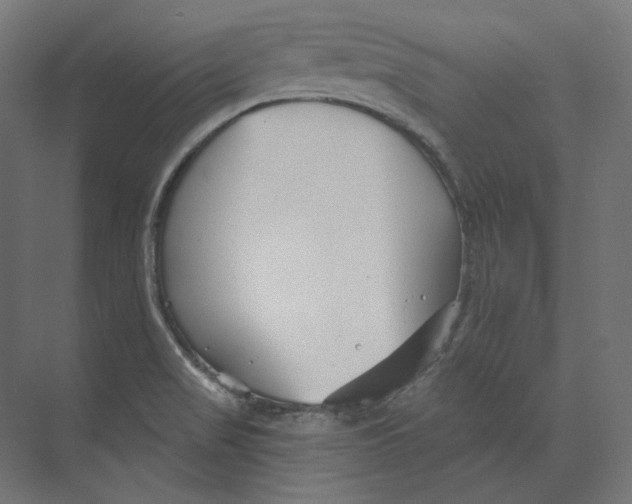 X0000073851517200609071554