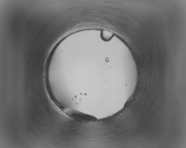 X0000073851518200609071554