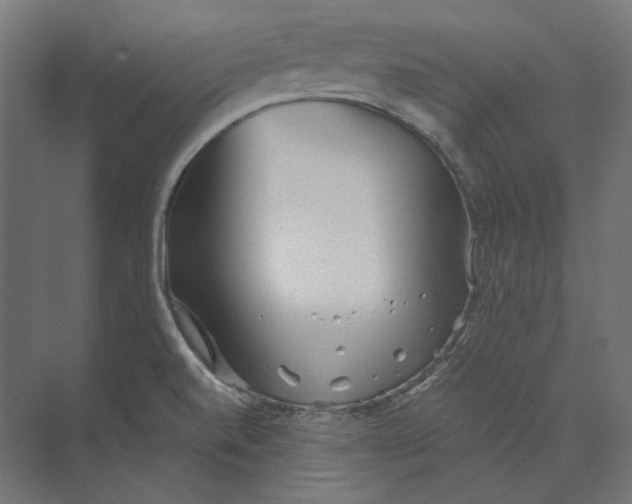 X0000073851520200609071554