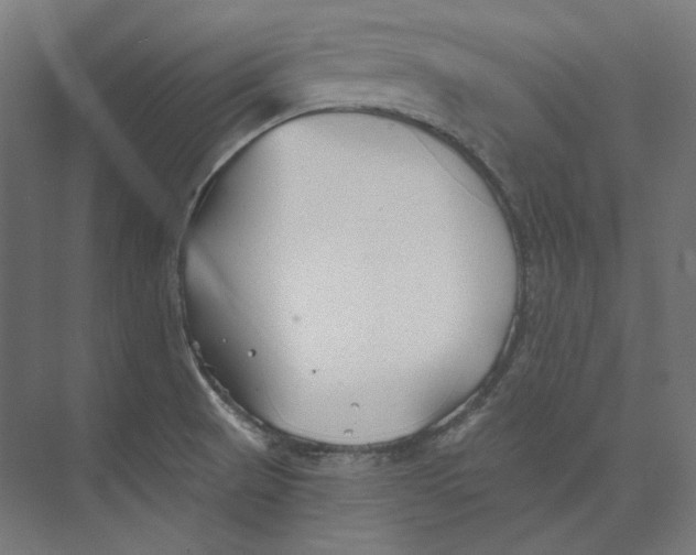 X0000073851521200609071554