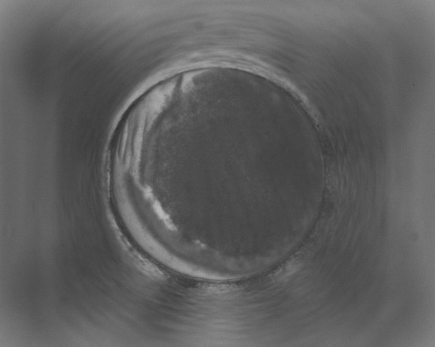 X0000073851522200609071554