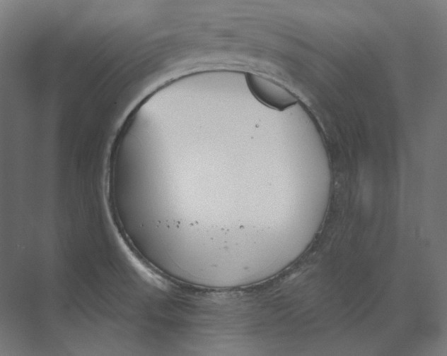 X0000073851523200609071554