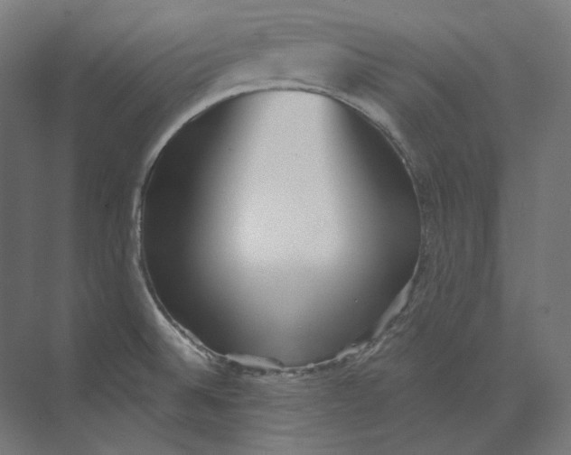 X0000073851524200609071554