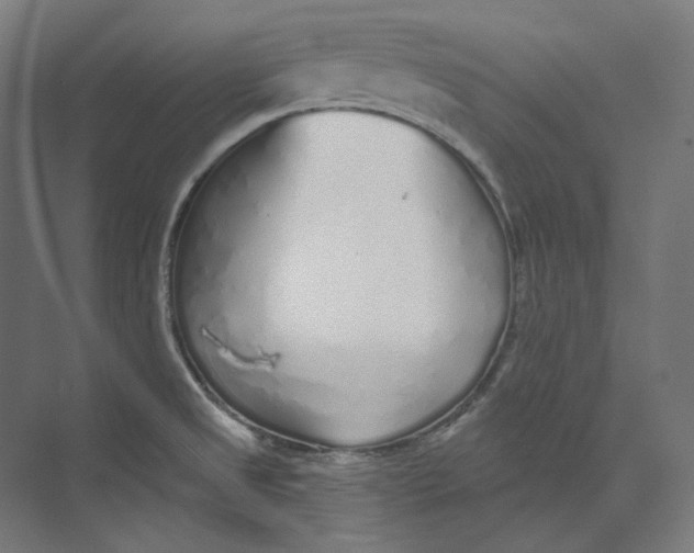 X0000073851525200609071554