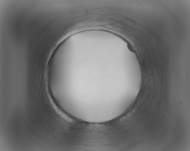 X0000073851526200609071554