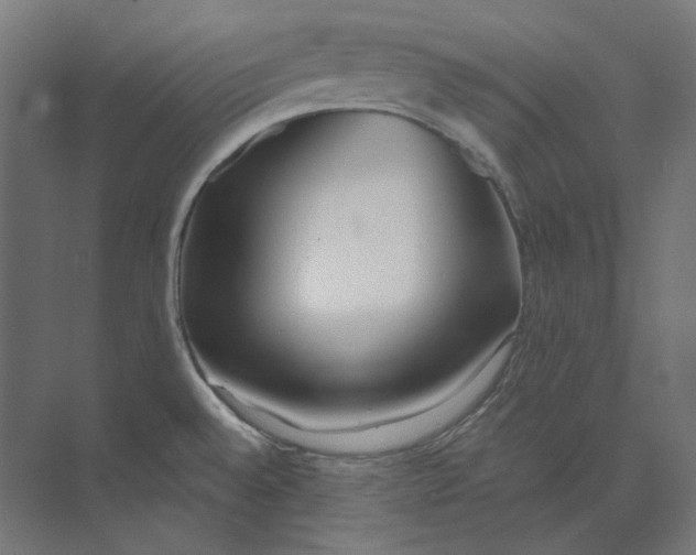 X0000073851528200609071554