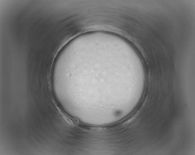 X0000073851529200609071554