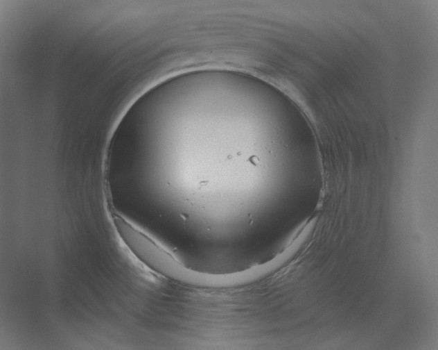 X0000073851532200609071554