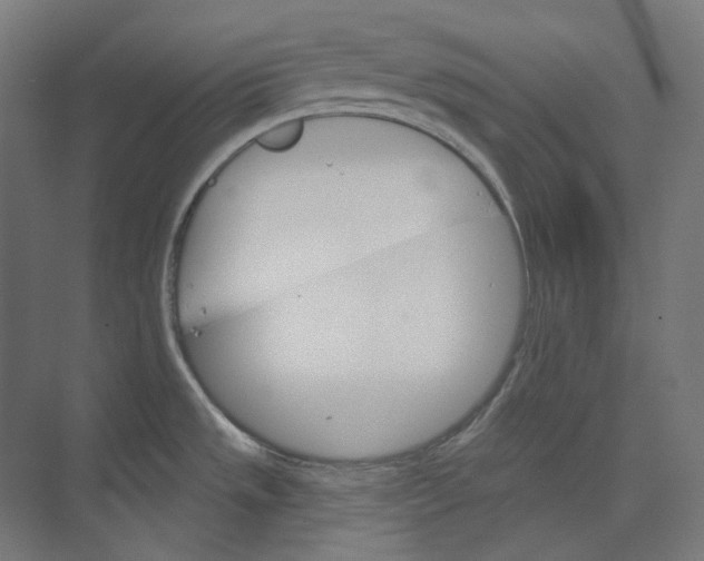 X0000073851533200609071554