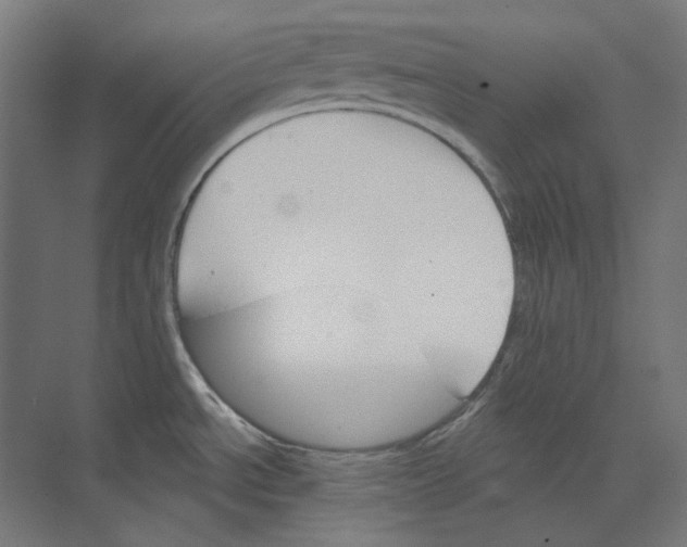 X0000073851534200609071554