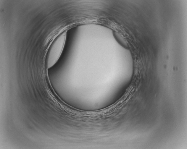 X0000073860002200608101039