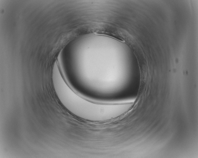 X0000073860041200608101039
