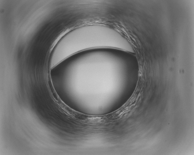 X0000073860052200608101038
