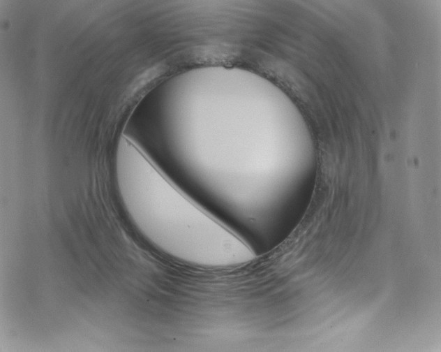 X0000073860071200608101038