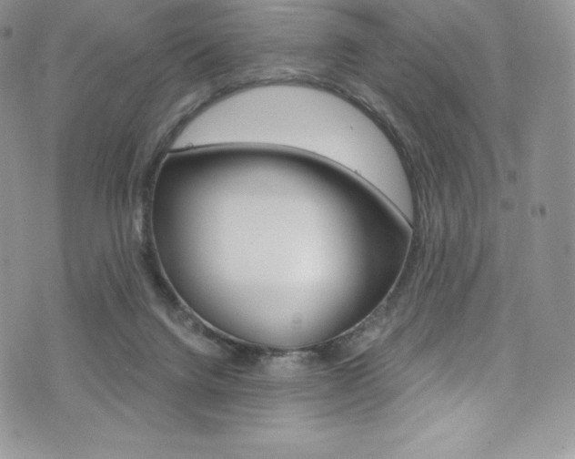 X0000073860072200608101038