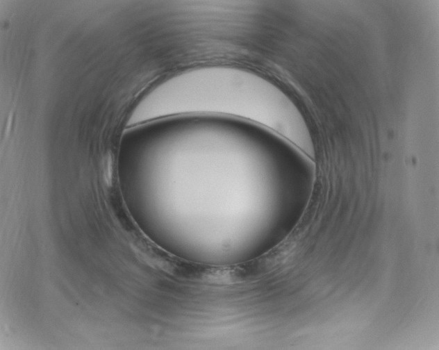 X0000073860076200608101038