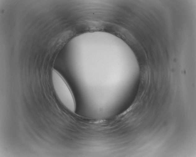 X0000073860078200608101038