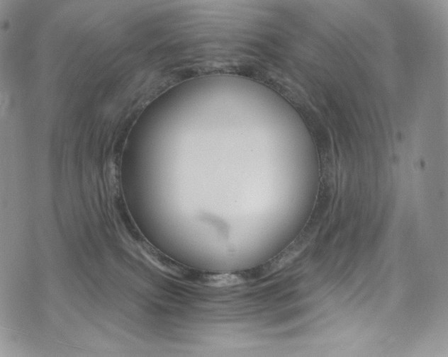X0000073860087200608101038