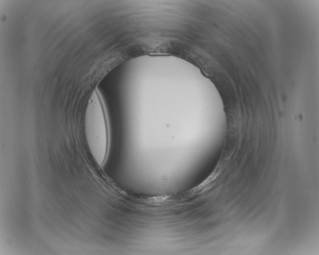 X0000073860090200608101038