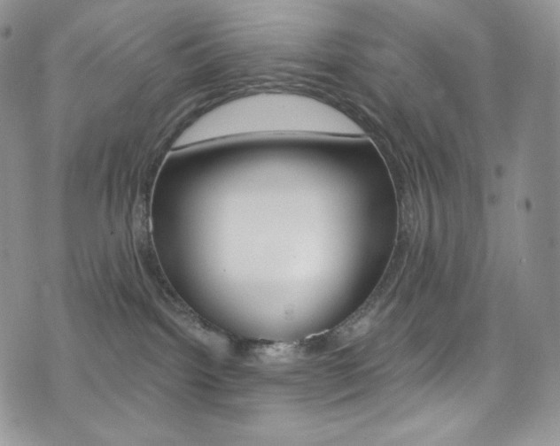 X0000073860092200608101038