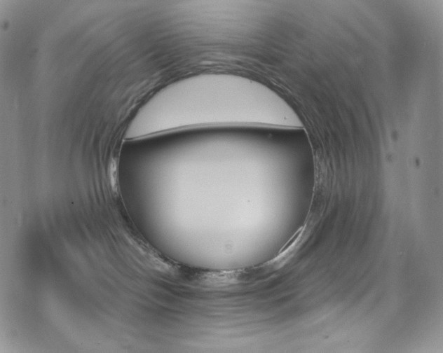 X0000073860094200608101038