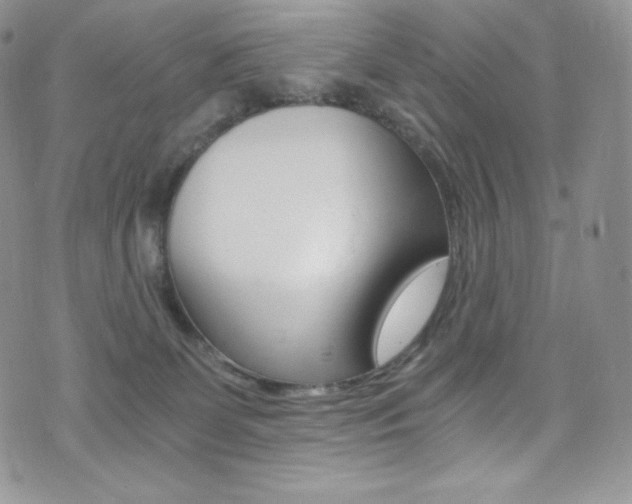 X0000073860131200608101037