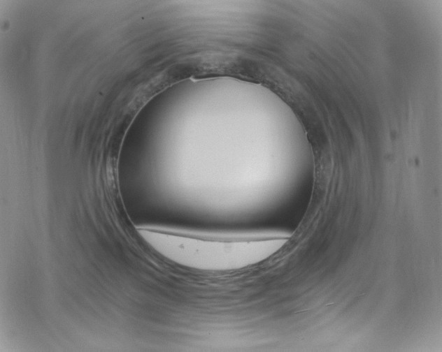 X0000073860137200608101037