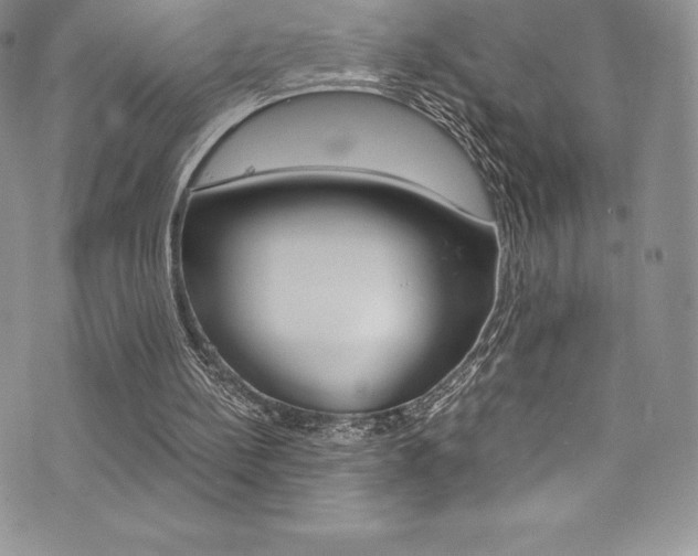 X0000073860148200608101036