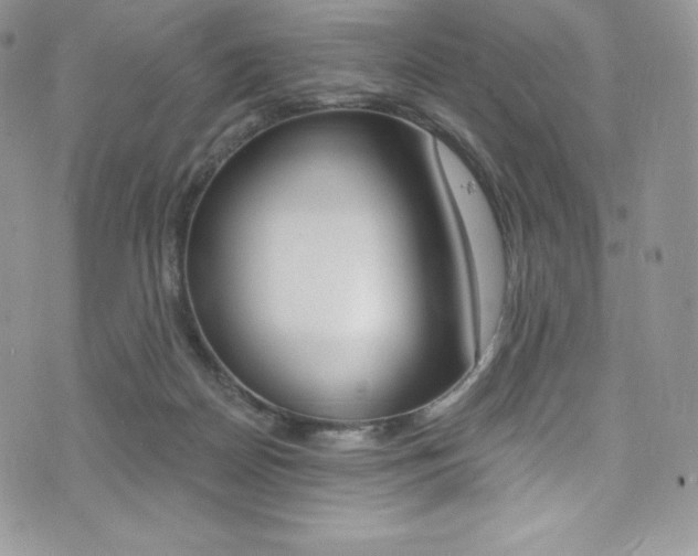 X0000073860170200608101037