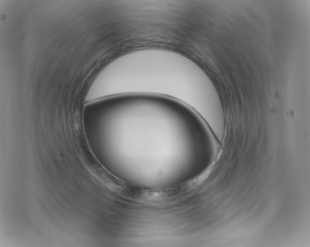 X0000073860174200608101037