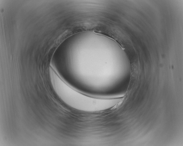 X0000073860184200608101037