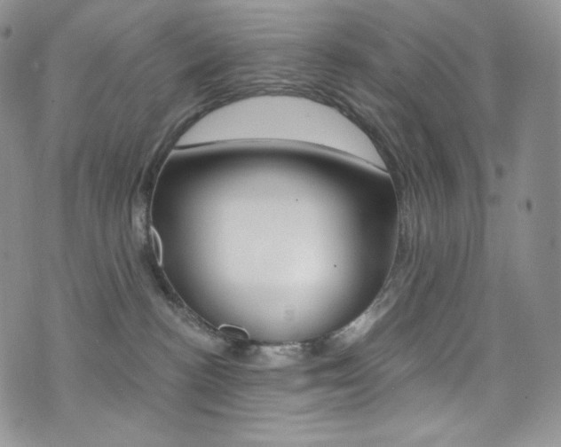 X0000073860188200608101037