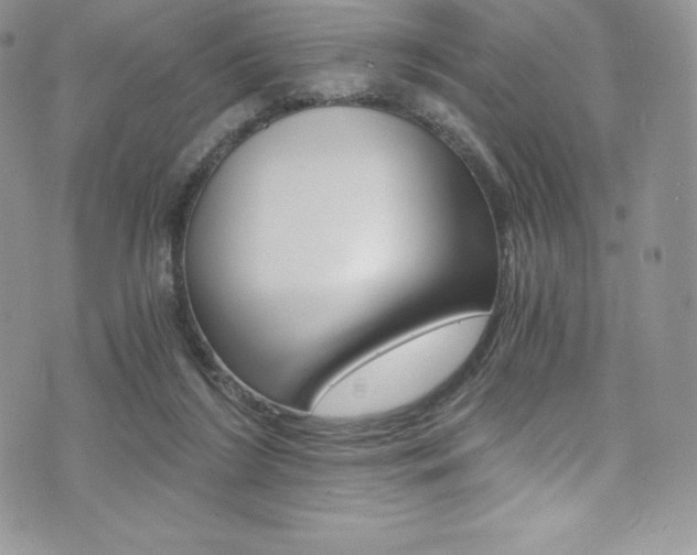 X0000073860212200608101036