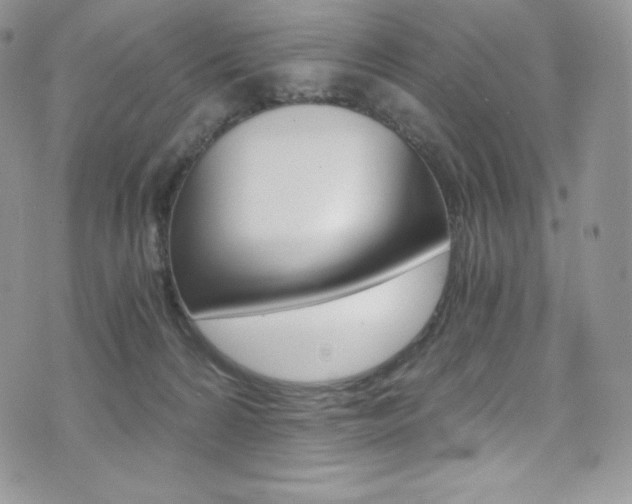 X0000073860224200608101036