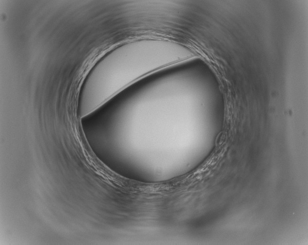 X0000073860241200608101035