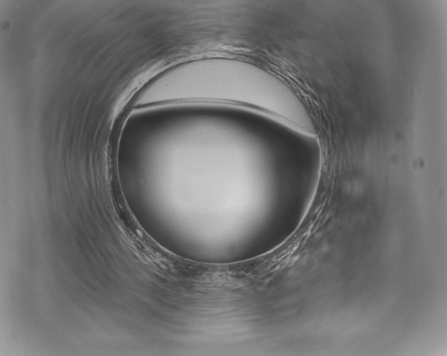 X0000073860244200608101035
