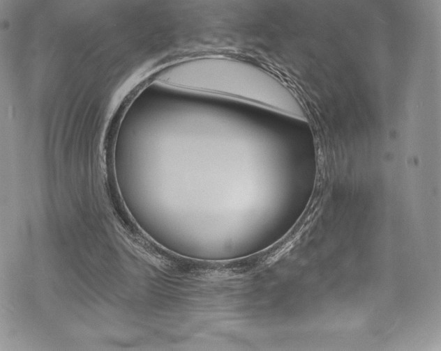 X0000073860246200608101035