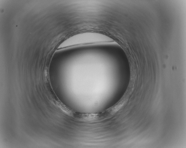 X0000073860288200608101035