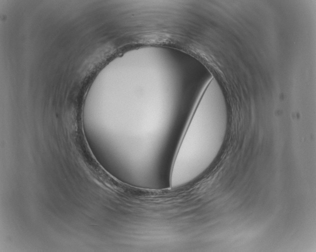 X0000073860303200608101034