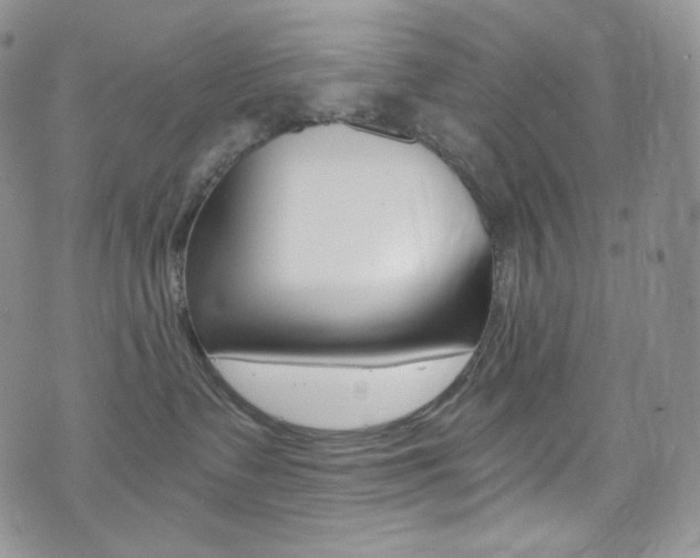 X0000073860335200608101034