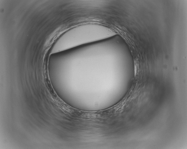 X0000073860339200608101033