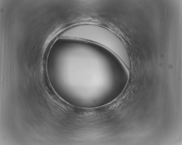X0000073860344200608101033