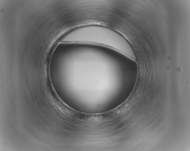 X0000073860350200608101033
